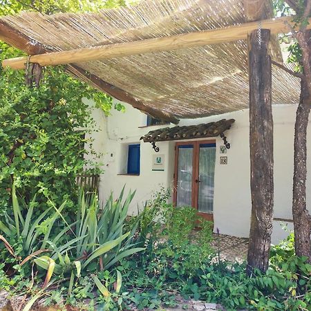 Casita Esperanza Villa Alajar Ngoại thất bức ảnh